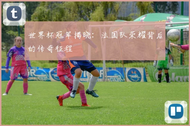 世界杯冠军揭晓：法国队荣耀背后的传奇征程