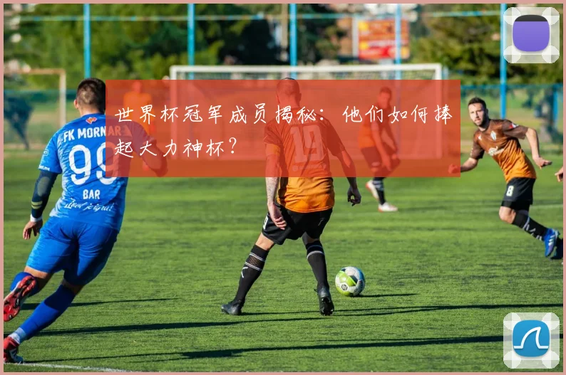 世界杯冠军成员揭秘：他们如何捧起大力神杯？