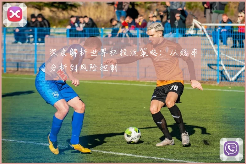 深度解析世界杯投注策略：从赔率分析到风险控制